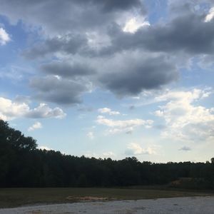 Meet your Posher, Jayne